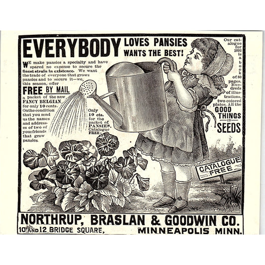 Northrup, Braslan & Goodwin Co Pansies Seeds Minneapolis MN 1892 Ad AG2-H5