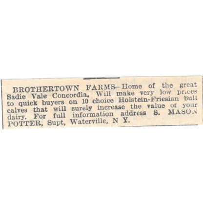 Brothertown Farms Bulls S. Mason Potter Waterville NY 1905 Magazine Ad AF1-NES2