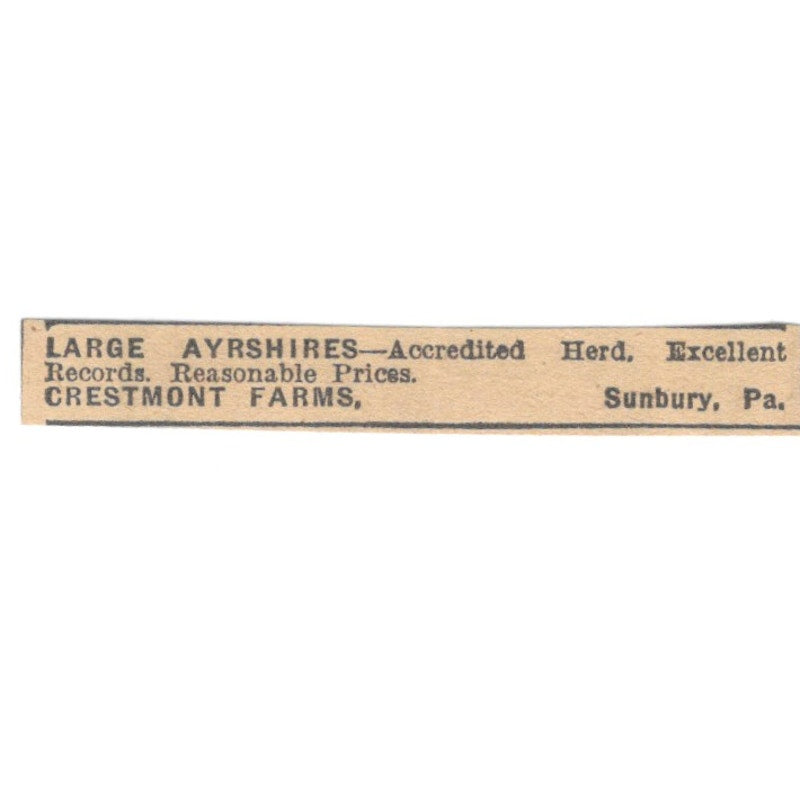Crestmont Farms Large Ayrshires Sunbury PA 1922 Magazine Ad AF2-T1