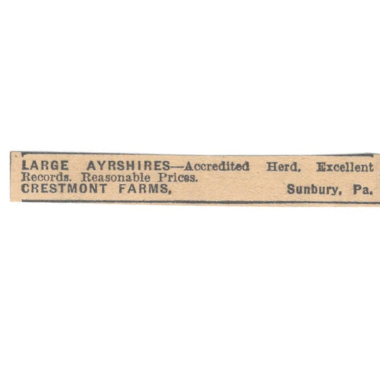 Crestmont Farms Large Ayrshires Sunbury PA 1922 Magazine Ad AF2-T1