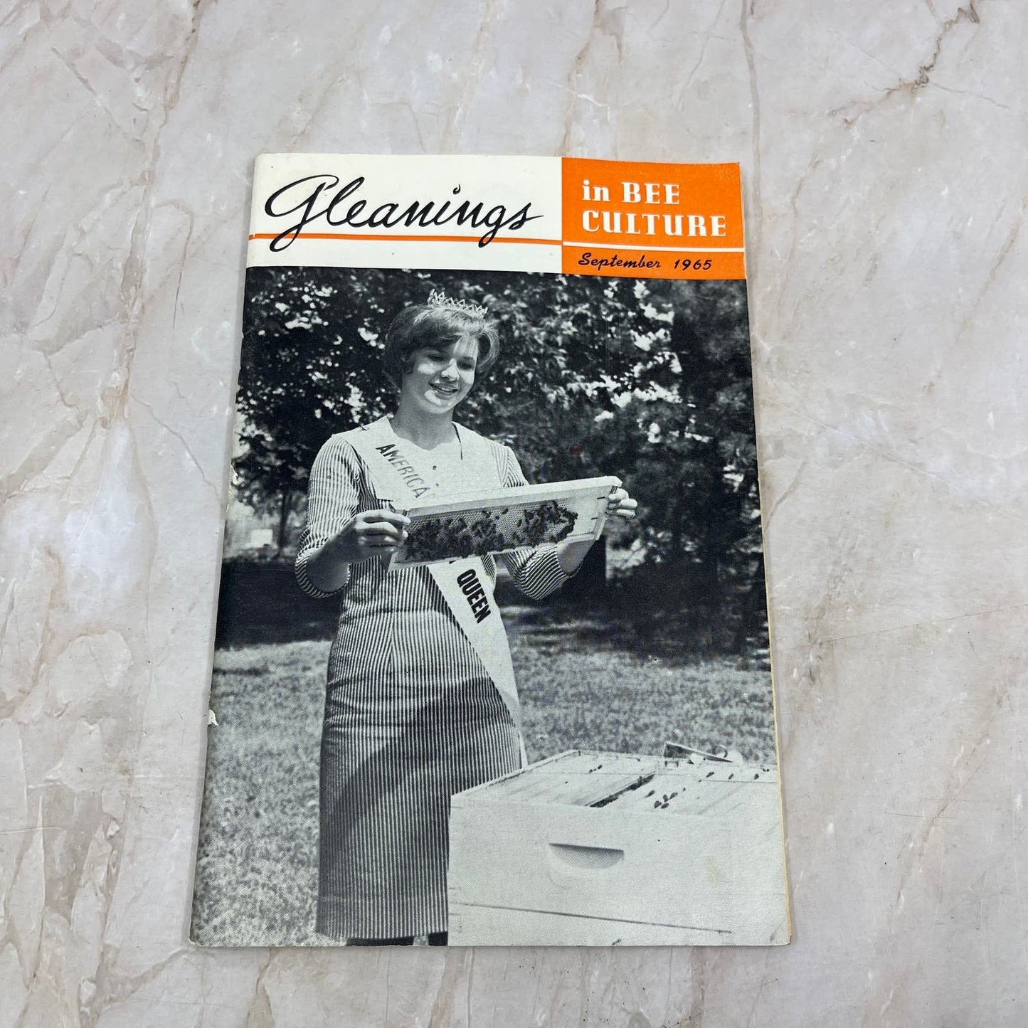 1965 Sept Gleanings in Bee Culture Magazine Bees Beekeeping Honey TD7