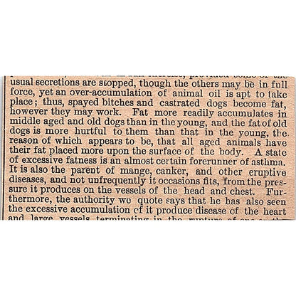 Sour Milk for Worms in Dogs 1878 Article AG2-M8