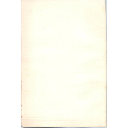 Palazzo Vecchio Italy 1901 Original Print AD8-H9