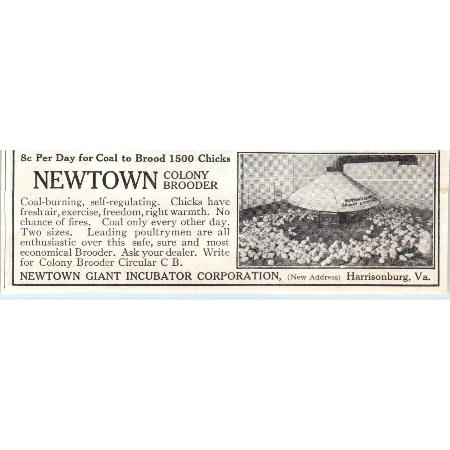 Newton Giant Incubator Co Harrisonburg VA 1913 Magazine Advertisement AE7-N7