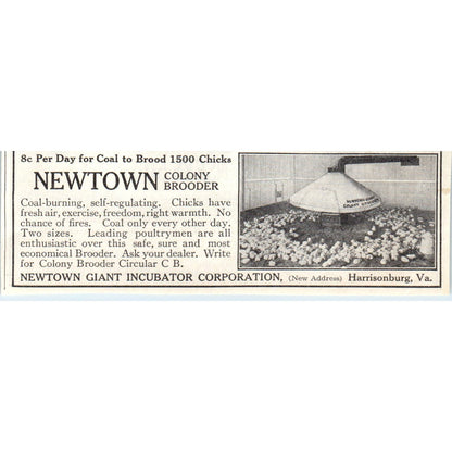 Newton Giant Incubator Co Harrisonburg VA 1913 Magazine Advertisement AE7-N7