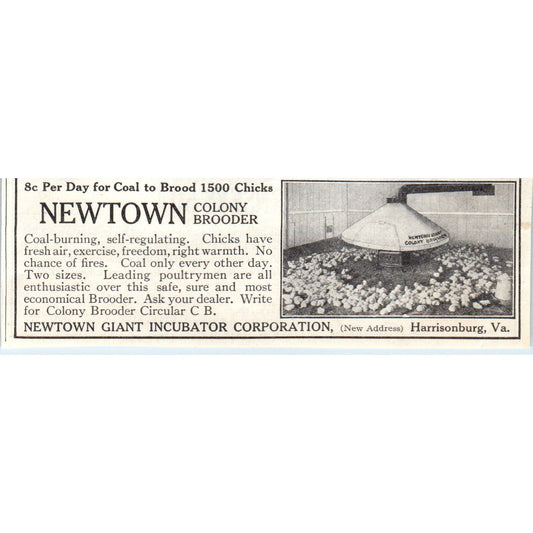 Newton Giant Incubator Co Harrisonburg VA 1913 Magazine Advertisement AE7-N7