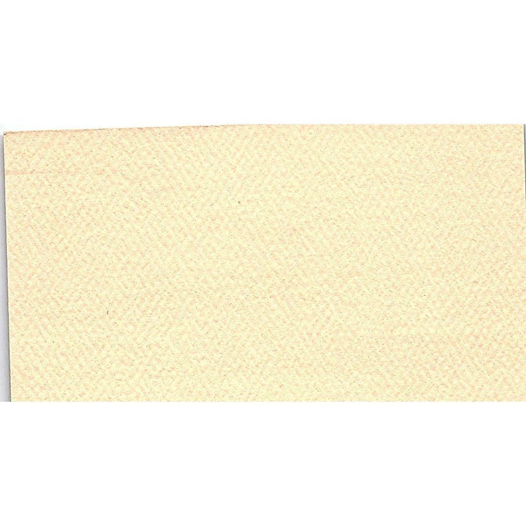 Leonard Logan CompuShop Houston Vintage Business Card SD9-B2