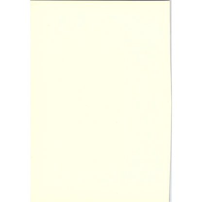 Virgin and Child - Crivelli - 1908 Litho Art Print AF4-8