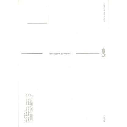 La Camboria Baile Flamenco Seguiriyas Vintage Postcard PD1