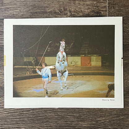 Retro Kitsch Dancing Horse Circus Trainer 6x8 Art Print V2