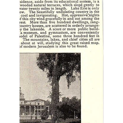Van Houten's Cocoa - Van Houten & Zoon Weesp Holland 1892 Ad AG2-M11