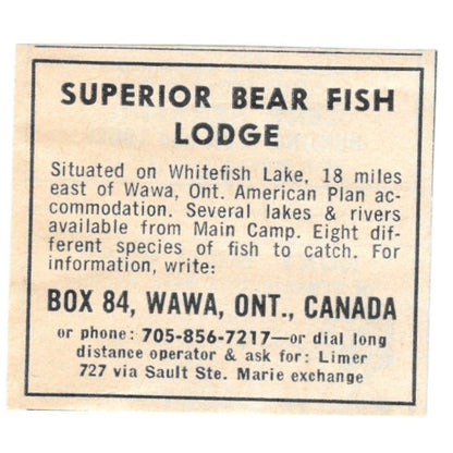 Superior Bear Fish Lodge Wawa Ontario Canada 1977 Ad AF6-S1