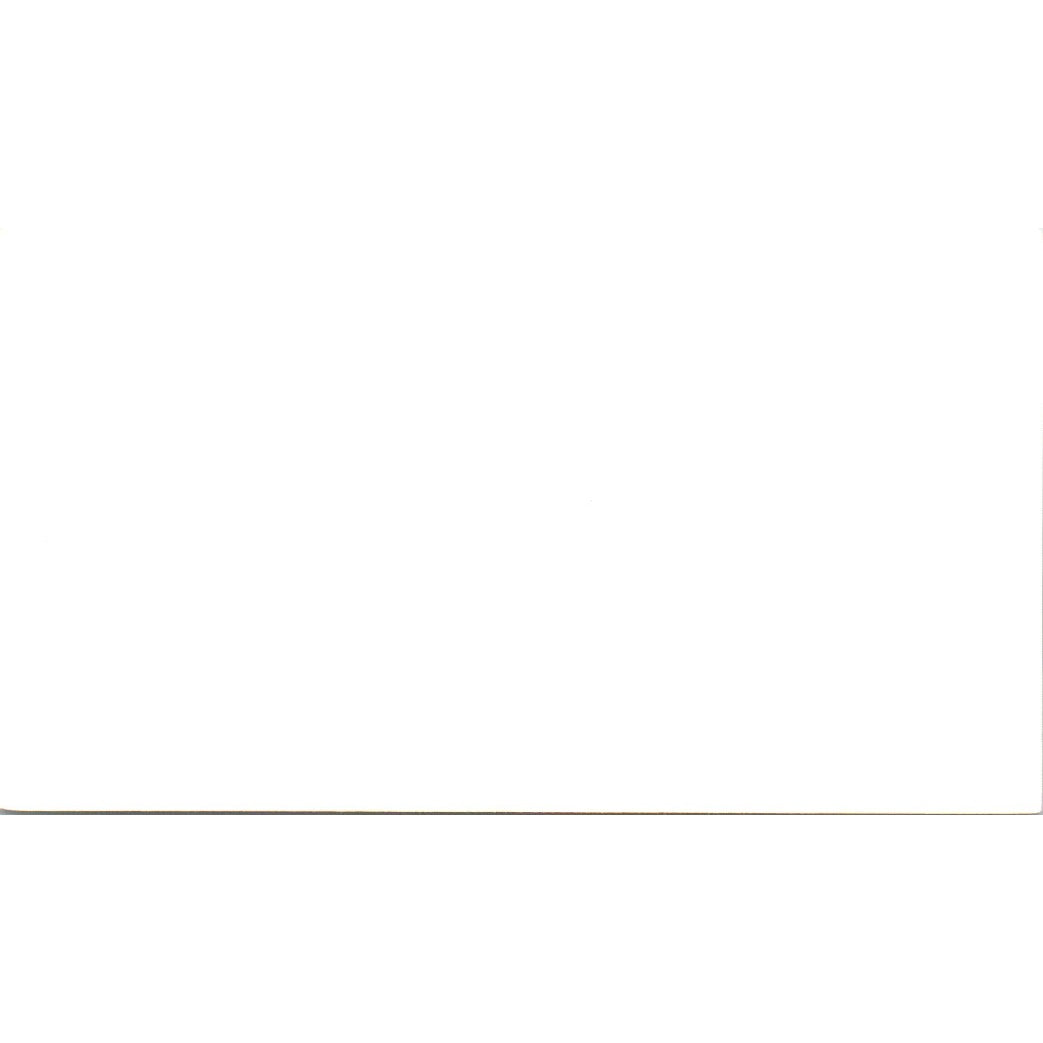 Svendsgaard's Lodge Mark & Celo Noesen Solvang CA Vintage Business Card SD8-B22