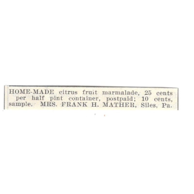 Mrs Frank H Mather Home-Made Marmalade Siles PA 1924 Ad AG3-S6