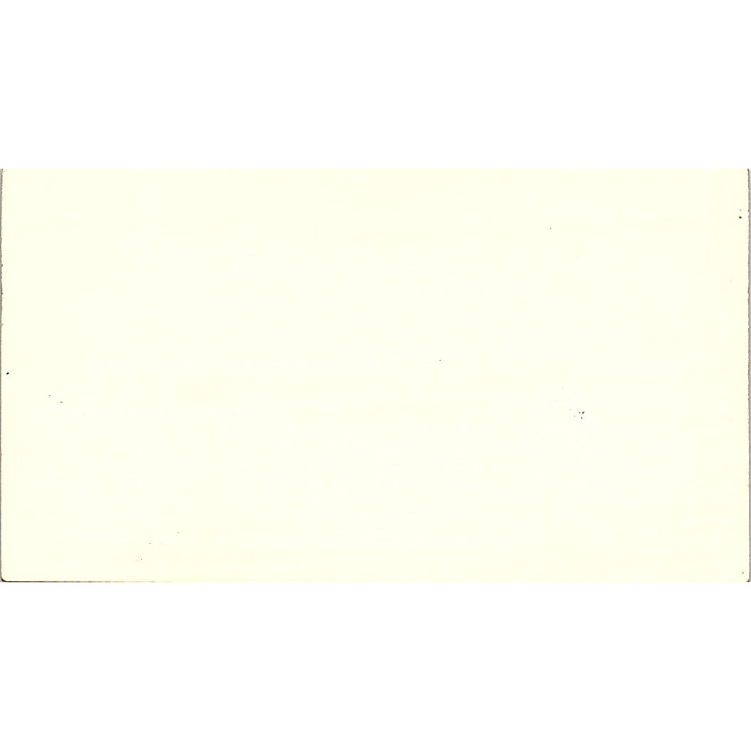 William T Leo Royston, Rayzor, Vickery & Williams Houston Business Card SC9-B2