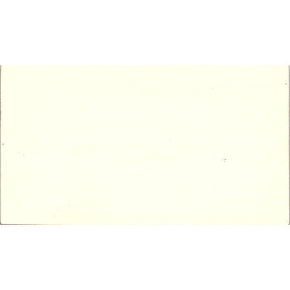 William T Leo Royston, Rayzor, Vickery & Williams Houston Business Card SC9-B2
