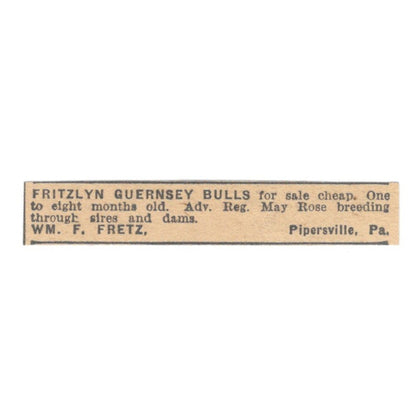 William F. Fretz Fritzlyn Guernsey Bulls Pipersville PA 1922 Magazine Ad AF2-T2