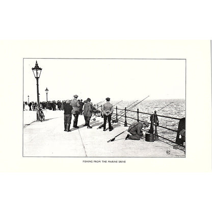 Fishing From The Marine Drive Scarborough c1910 Photo Print AF3-8