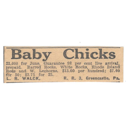 L.R. Walck Baby Chicks Greencastle PA 1922 Magazine Ad AF2-T5