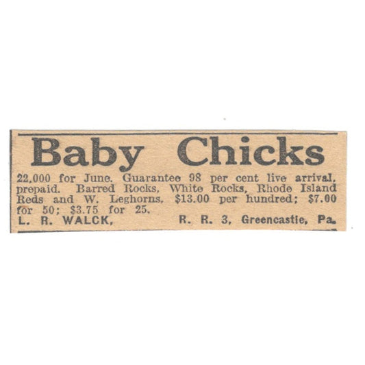 L.R. Walck Baby Chicks Greencastle PA 1922 Magazine Ad AF2-T5