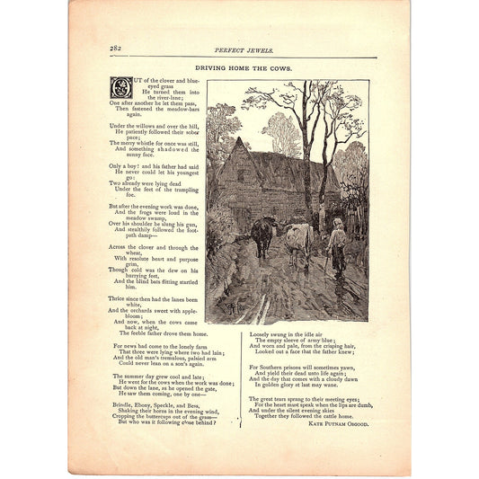 Driving Home the Cows - Kate Putnam Osgood 1884 Poem TA5-CJ-5