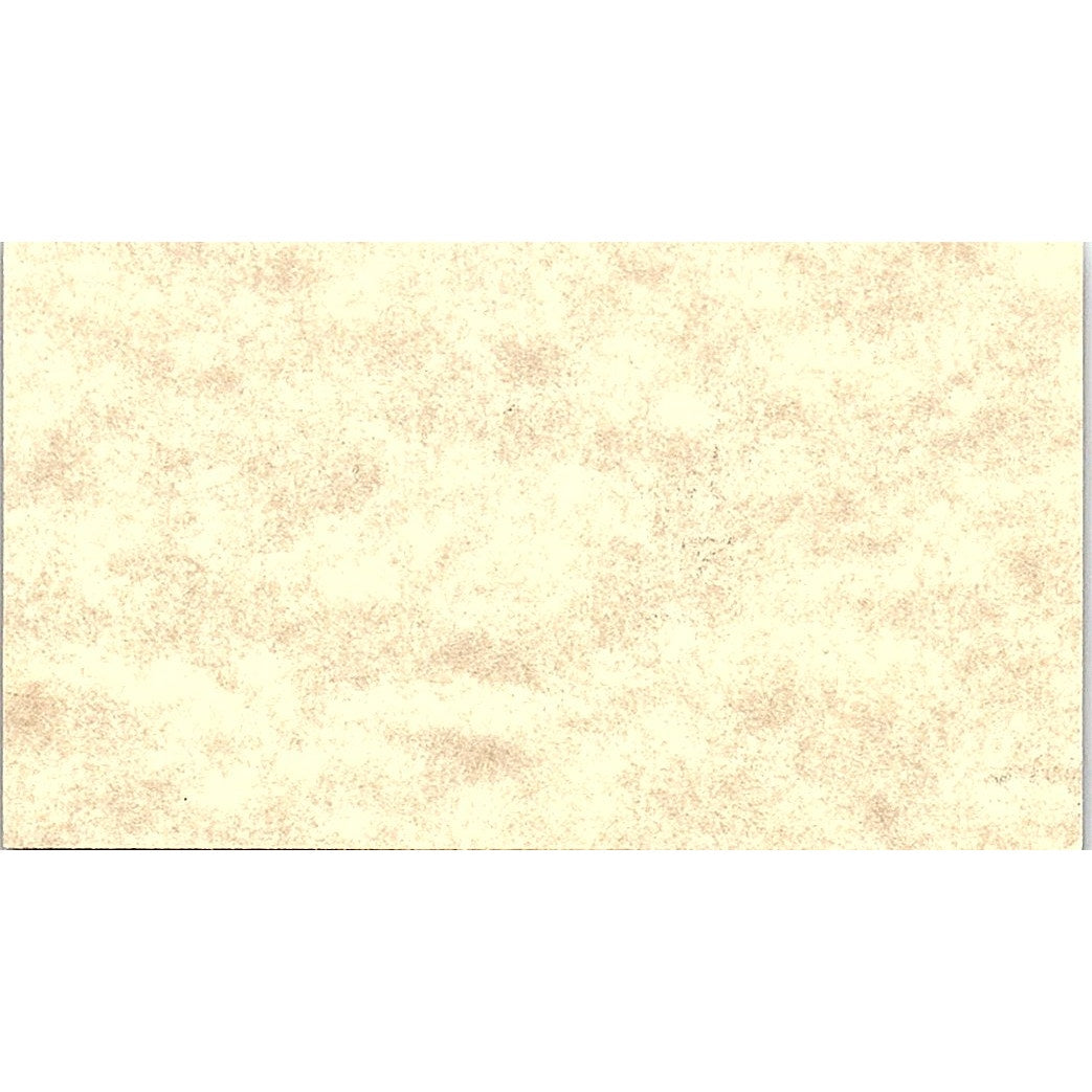 Aunt B ZZZZ Treasures & Memories Brenda Killian Warrior AL Business Card SC9-B9