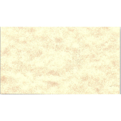 Aunt B ZZZZ Treasures & Memories Brenda Killian Warrior AL Business Card SC9-B9