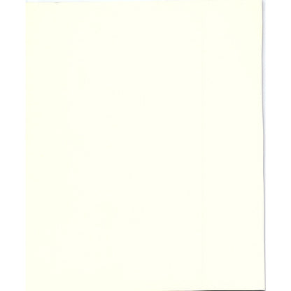 Vintage Portrait of Madame Renoir Lithograph Art Print 8x10 V4