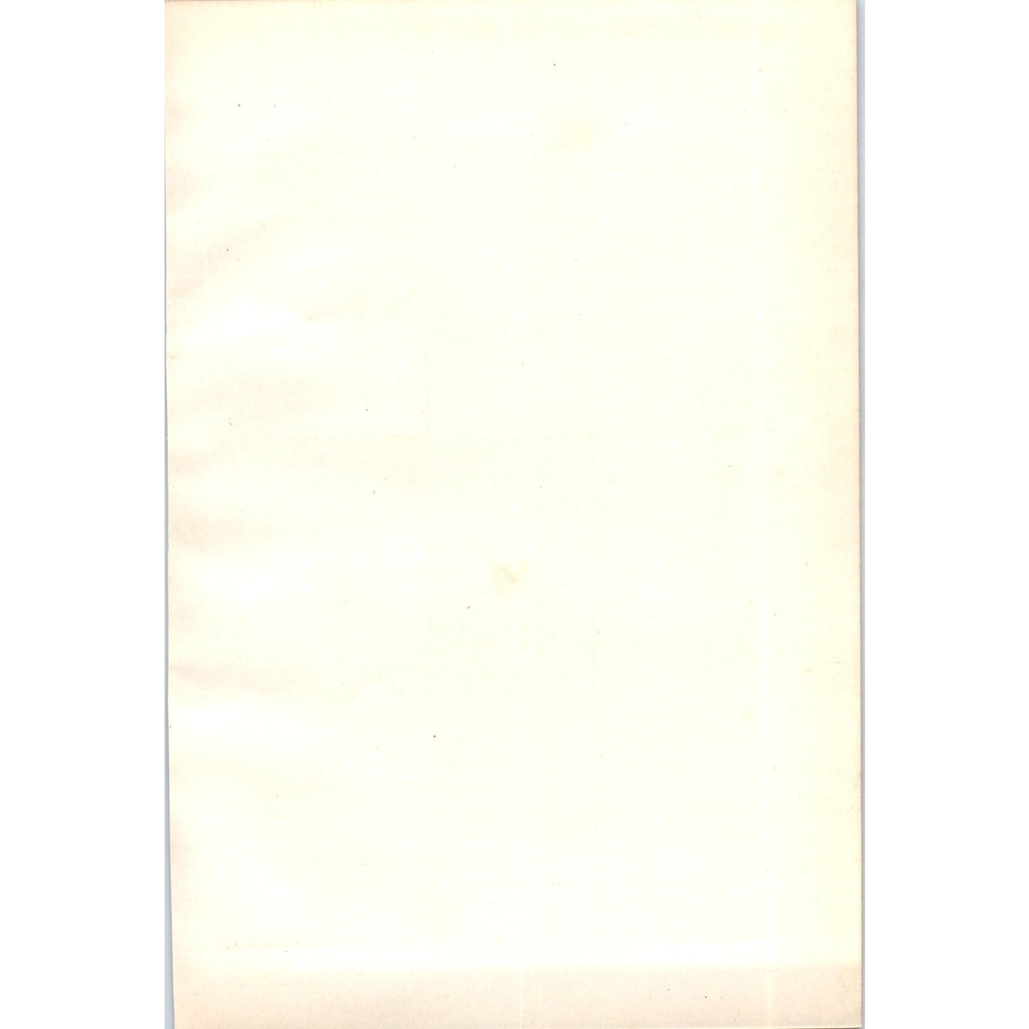 Tree Sparrow Bird 1903 Original Color Engraving Plate Print AD8-B8