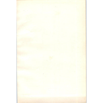 Tree Sparrow Bird 1903 Original Color Engraving Plate Print AD8-B8