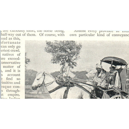 An Indian Carriage and Pair Bourne & Sheppard 1897 Victorian Photo AE9-TS7