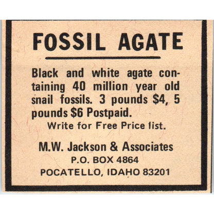 M.W. Jackson & Associates Fossil Agate Pocatello ID 1971 Magazine Ad AD8-R9