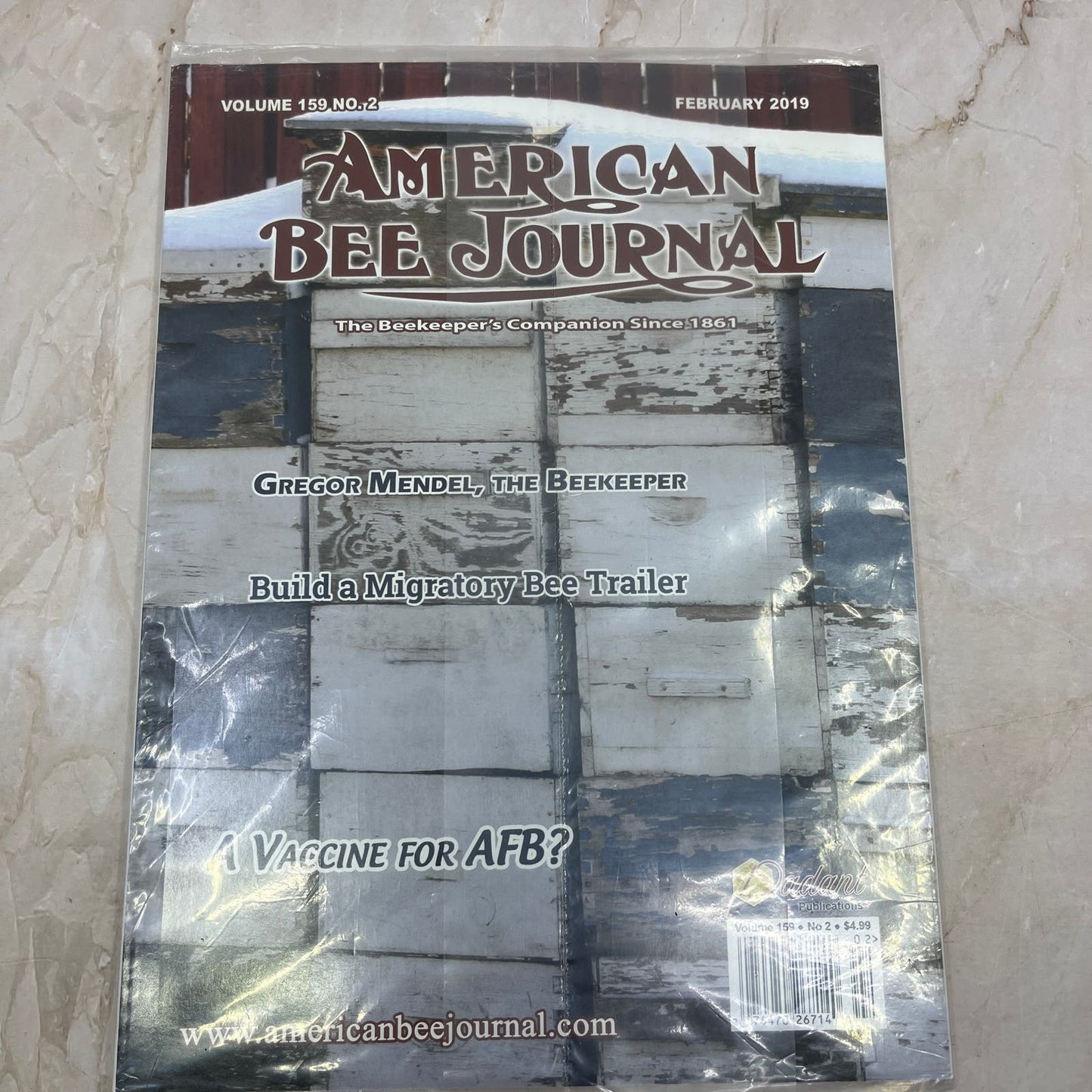 2019 Feb American Bee Journal Magazine Bees Beekeeping Honey M8