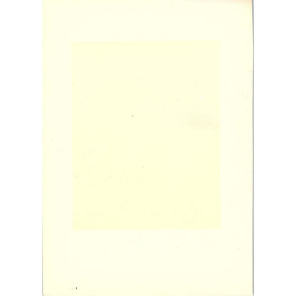 The Bentivoglio Altarpiece - Francia - 1906 Litho Art Print AF5-3
