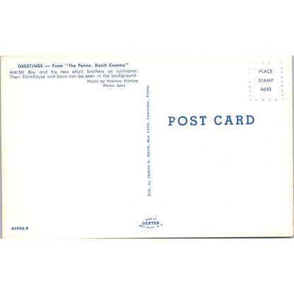 Amish Boys Farming With Cultivator PA Dutch Vintage Postcard PD4