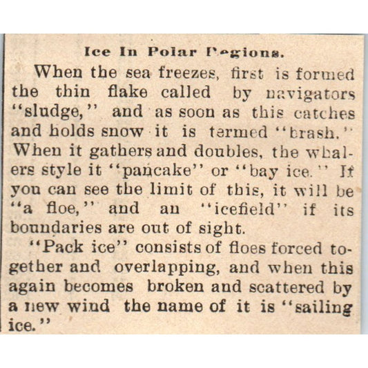 Ice in the Polar Regions Milwaukee 1898 Newspaper Clip AF7-SS9