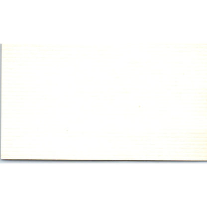 Stephen M. Dolen Papers Plus Inc Houston TX Vintage Business Card SE3-B4