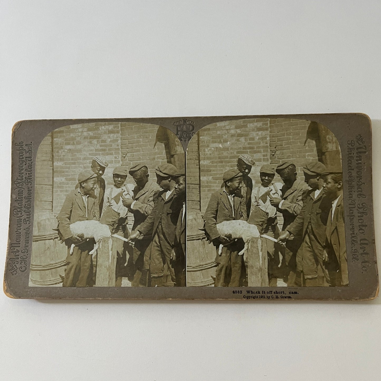 c1890 Group of African American Boys With Dog Stereoview Card TE2-YN
