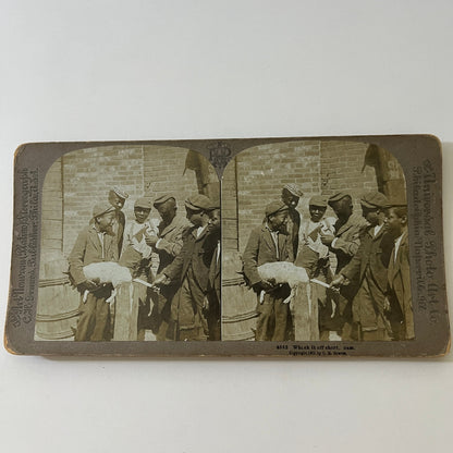 c1890 Group of African American Boys With Dog Stereoview Card TE2-YN