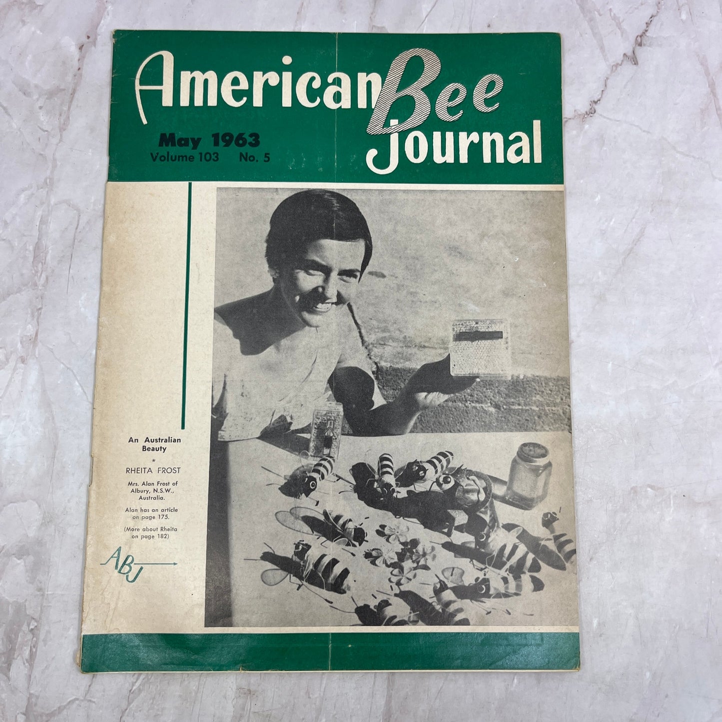 1963 May - American Bee Journal - Bees Beekeeping Honey M32