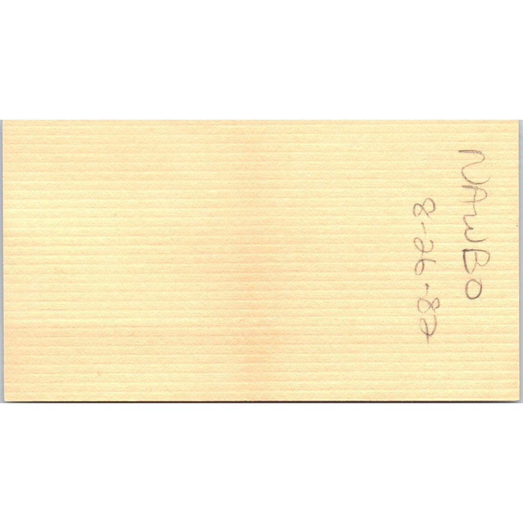 LSP Linda Summers Posey Writing Services Houston Vintage Business Card SD8-B20