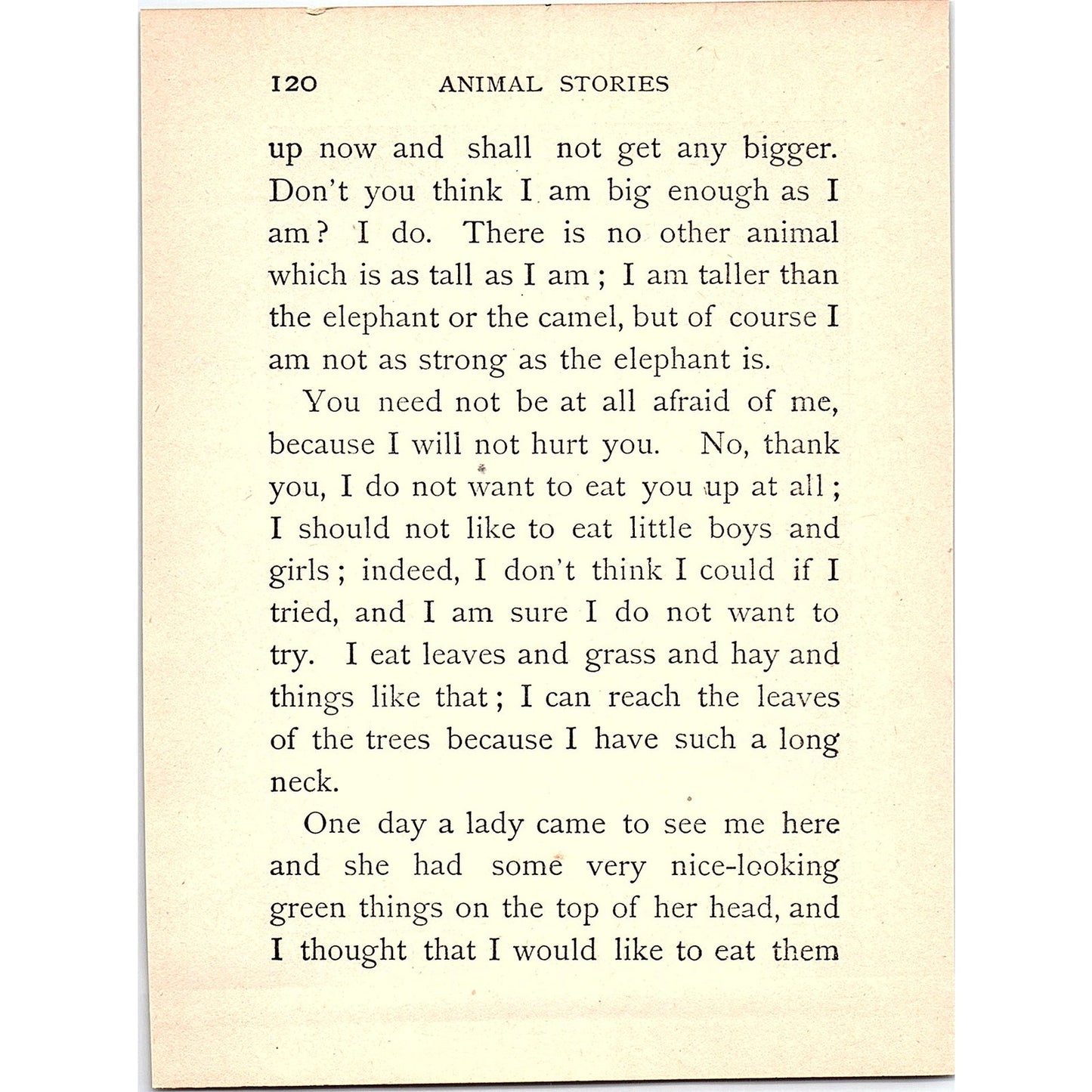 The Giraffe 1902 Engraving Plate AF4-H3