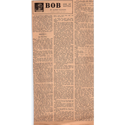 Bob White Chemical Co Sure Deah Fly Killer New York City Advertisement V1-8