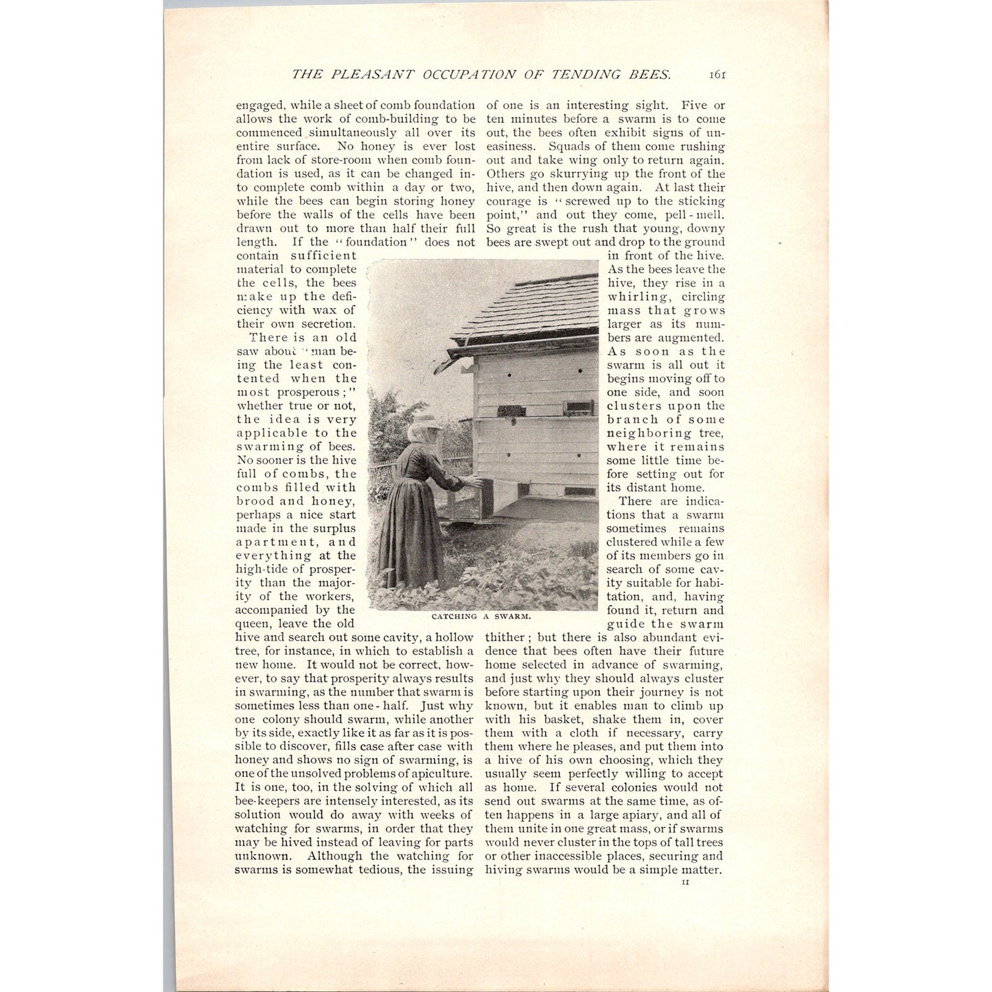 The Pleasant Occupation of Tending Bees W.Z Hutchinson 4 Page 1985 Article AH6-7