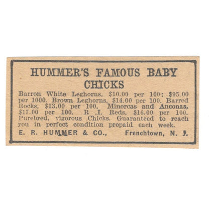 E.R. Hummer & Co Baby Chicks Frenchtown NJ 1922 Magazine Ad AF2-T7