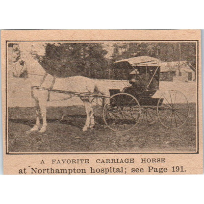 Photo of a Carriage Horse at Northampton Hospital 1905 Magazine Ad AF1-NH3