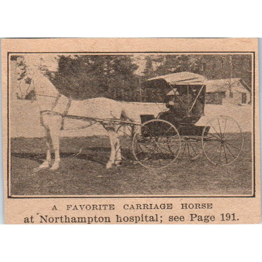 Photo of a Carriage Horse at Northampton Hospital 1905 Magazine Ad AF1-NH3