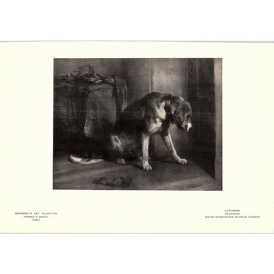Suspense - Landseer - 1904 Litho Art Print AF5-2