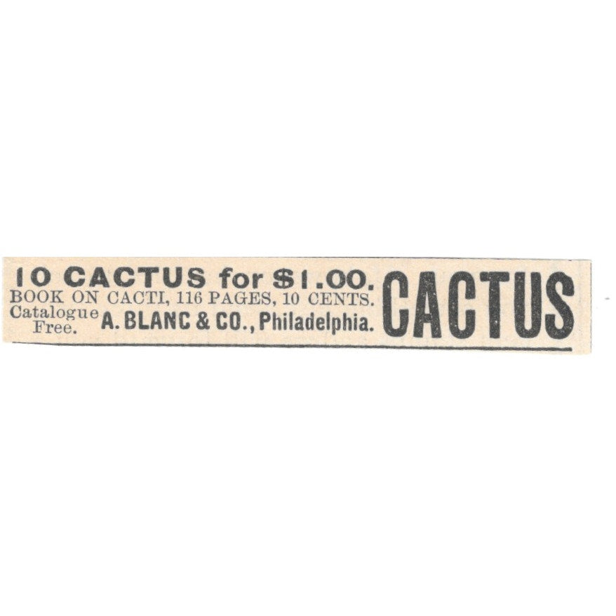 A. Blanc & Co Cactus for Sale Philadelphia 1892 Magazine Ad AK6-S3