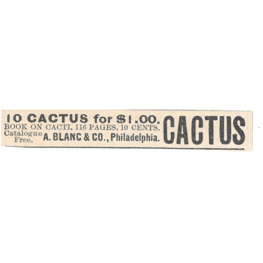 A. Blanc & Co Cactus for Sale Philadelphia 1892 Magazine Ad AK6-S3
